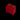 Red Ring Spacer